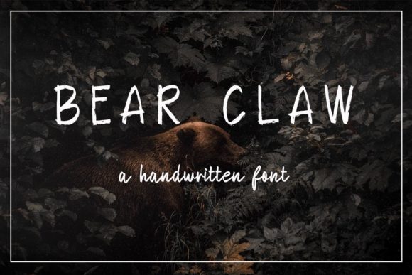 Bear Claw: A Strategic Tool for Designers and Creators