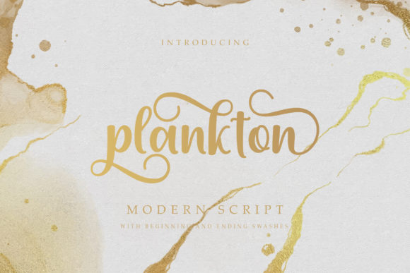 Plankton Font: Elegant and Stylish Script